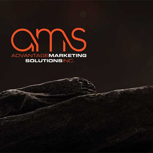advantage-marketing