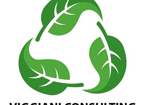 Viggiani Consulting