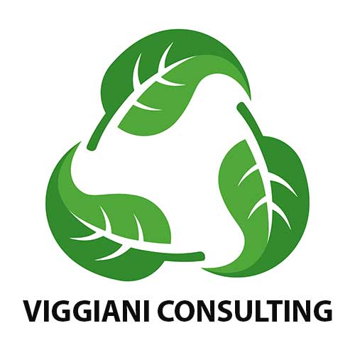 Viggiani Consulting