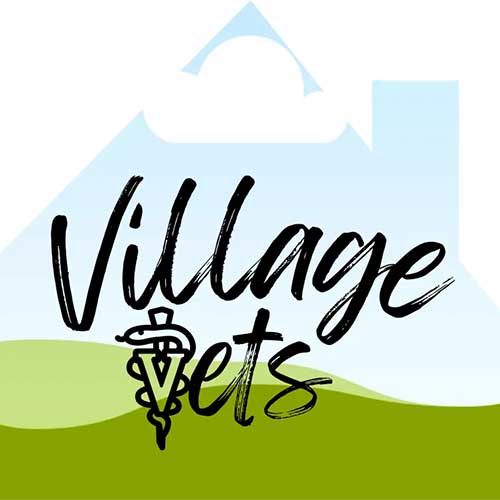 village vets